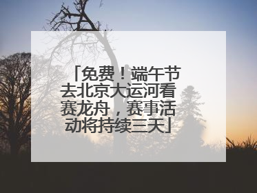 免费！端午节去北京大运河看赛龙舟，赛事活动将持续三天