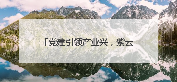 党建引领产业兴，紫云小湾村从 “靠天吃饭” 到 “抱团生金”