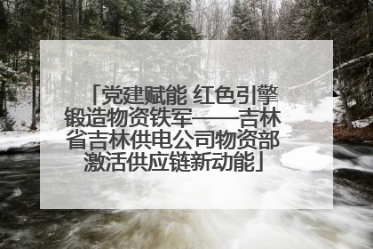 党建赋能 红色引擎锻造物资铁军——吉林省吉林供电公司物资部激活供应链新动能