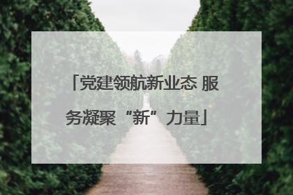 党建领航新业态 服务凝聚“新”力量