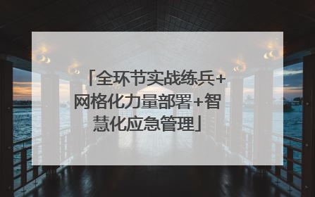 全环节实战练兵+网格化力量部署+智慧化应急管理
