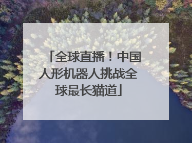 全球直播！中国人形机器人挑战全球最长猫道