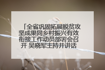 全省巩固拓展脱贫攻坚成果同乡村振兴有效衔接工作动员部署会召开 吴晓军主持并讲话 罗东川作安排部署