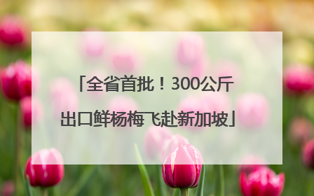 全省首批！300公斤出口鲜杨梅飞赴新加坡