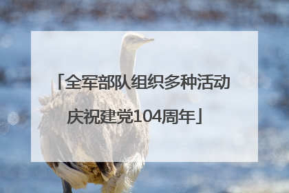 全军部队组织多种活动庆祝建党104周年