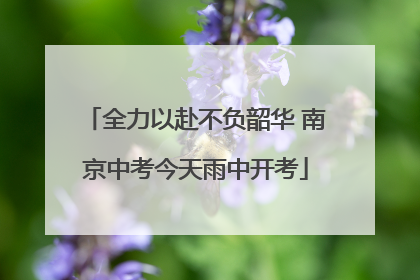 全力以赴不负韶华 南京中考今天雨中开考