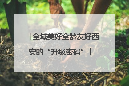 全域美好全龄友好西安的“升级密码”