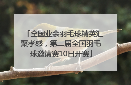 全国业余羽毛球精英汇聚孝感，第二届全国羽毛球邀请赛10日开赛