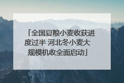 全国夏粮小麦收获进度过半 河北冬小麦大规模机收全面启动