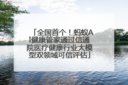 全国首个！蚂蚁AI健康管家通过信通院医疗健康行业大模型双领域可信评估