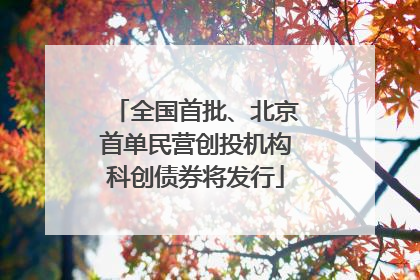 全国首批、北京首单民营创投机构科创债券将发行
