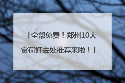 全部免费！郑州10大赏荷好去处推荐来啦！
