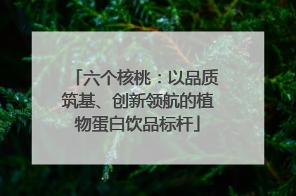 六个核桃：以品质筑基、创新领航的植物蛋白饮品标杆