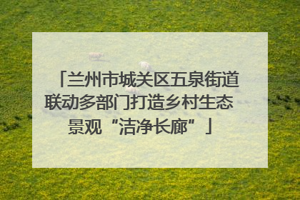 兰州市城关区五泉街道联动多部门打造乡村生态景观“洁净长廊”