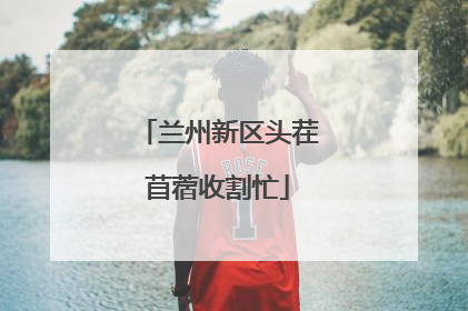兰州新区头茬苜蓿收割忙
