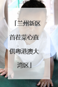 兰州新区首茬菜心直供粤港澳大湾区