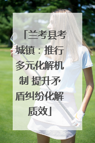 兰考县考城镇：推行多元化解机制 提升矛盾纠纷化解质效