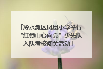 冷水滩区凤凰小学举行“红领巾心向党”少先队入队考核闯关活动