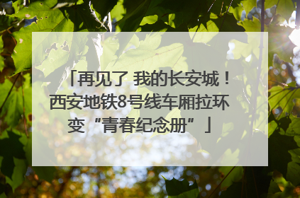 再见了 我的长安城！西安地铁8号线车厢拉环变“青春纪念册”