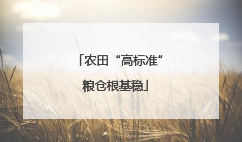 农田“高标准” 粮仓根基稳