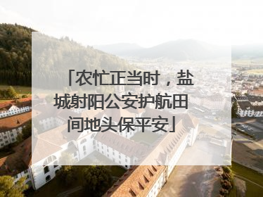 农忙正当时，盐城射阳公安护航田间地头保平安