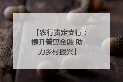 农行贵定支行：提升普惠金融 助力乡村振兴