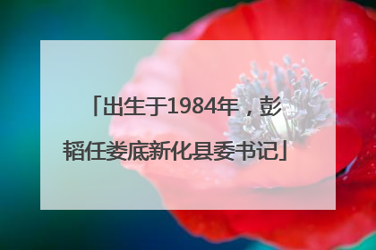 出生于1984年，彭韬任娄底新化县委书记