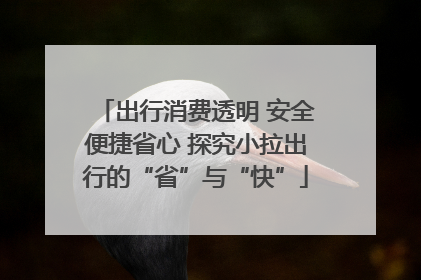 出行消费透明 安全便捷省心 探究小拉出行的“省”与“快”