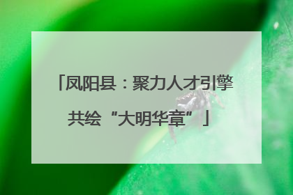 凤阳县：聚力人才引擎 共绘“大明华章”