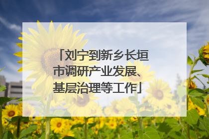 刘宁到新乡长垣市调研产业发展、基层治理等工作