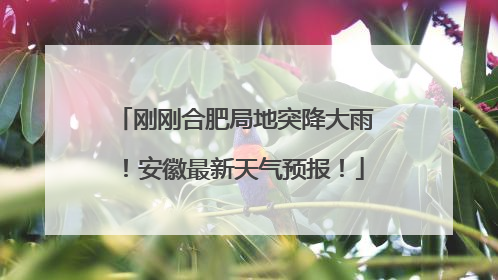 刚刚合肥局地突降大雨！安徽最新天气预报！