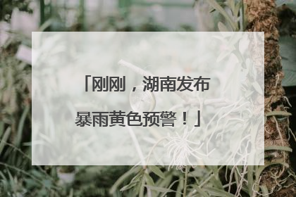 刚刚，湖南发布暴雨黄色预警！