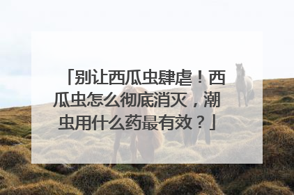 别让西瓜虫肆虐！西瓜虫怎么彻底消灭，潮虫用什么药最有效？