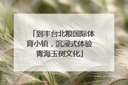 到丰台北粮国际体育小镇，沉浸式体验青海玉树文化