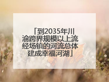 到2035年川渝跨界规模以上流经场镇的河流总体建成幸福河湖