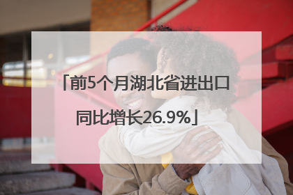 前5个月湖北省进出口同比增长26.9%