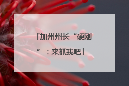 加州州长“硬刚”：来抓我吧