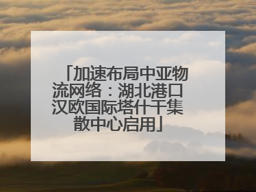 加速布局中亚物流网络：湖北港口汉欧国际塔什干集散中心启用