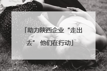 助力陕西企业“走出去” 他们在行动