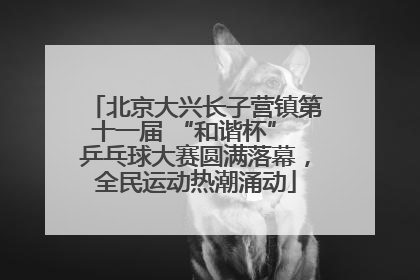 北京大兴长子营镇第十一届 “和谐杯” 乒乓球大赛圆满落幕，全民运动热潮涌动