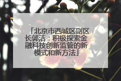 北京市西城区副区长郭洁：积极探索金融科技创新监管的新模式和新方法