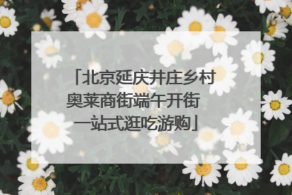 北京延庆井庄乡村奥莱商街端午开街 一站式逛吃游购