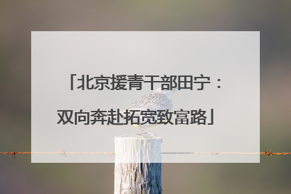 北京援青干部田宁：双向奔赴拓宽致富路