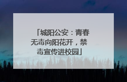 城阳公安：青春无毒向阳花开，禁毒宣传进校园