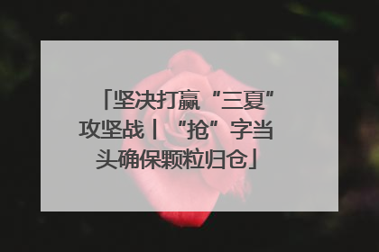 坚决打赢“三夏”攻坚战丨“抢”字当头确保颗粒归仓