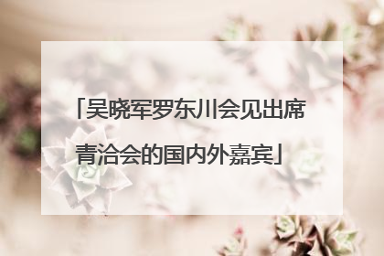 吴晓军罗东川会见出席青洽会的国内外嘉宾