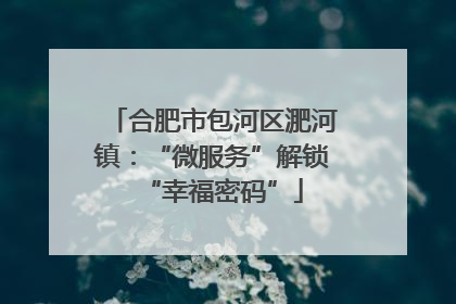 合肥市包河区淝河镇：“微服务”解锁“幸福密码”