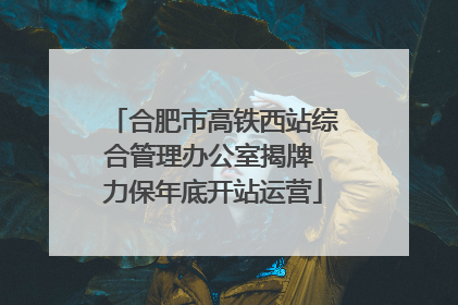合肥市高铁西站综合管理办公室揭牌 力保年底开站运营