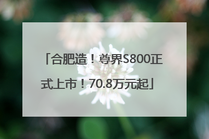 合肥造！尊界S800正式上市！70.8万元起