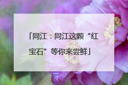 同江：同江这颗“红宝石”等你来尝鲜